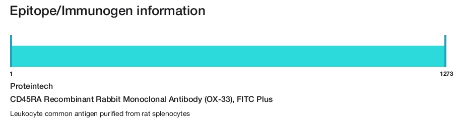 CD45RA Recombinant Rabbit Monoclonal Antibody (OX-33), FITC Plus