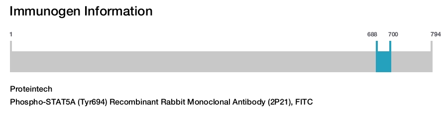 Phospho-STAT5A (Tyr694) Recombinant Rabbit Monoclonal Antibody (2P21), FITC
