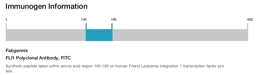 FLI1 Polyclonal Antibody, FITC
