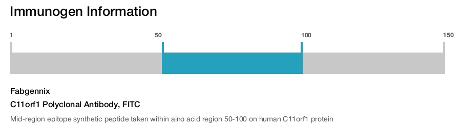 C11orf1 Polyclonal Antibody, FITC