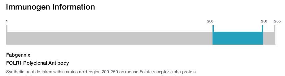 FOLR1 Polyclonal Antibody