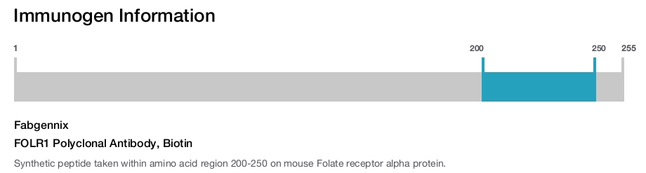 FOLR1 Polyclonal Antibody, Biotin