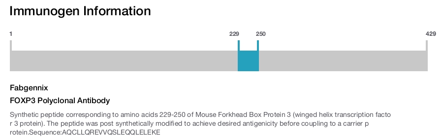 FOXP3 Polyclonal Antibody