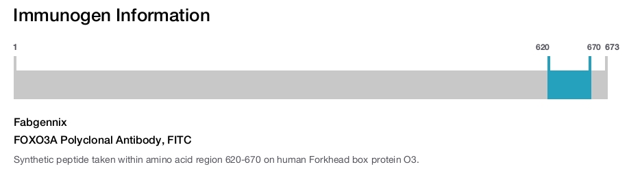 FOXO3A Polyclonal Antibody, FITC