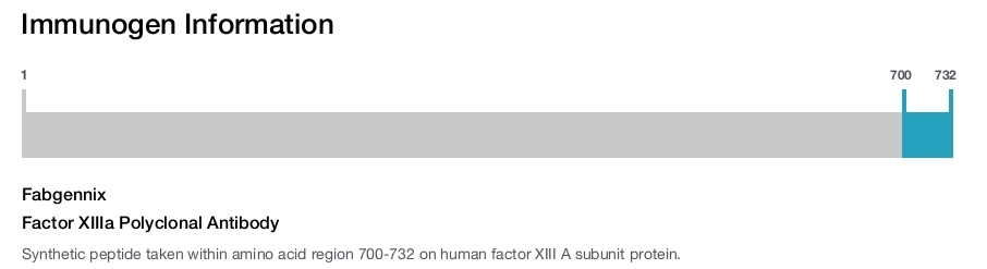 Factor XIIIa Polyclonal Antibody