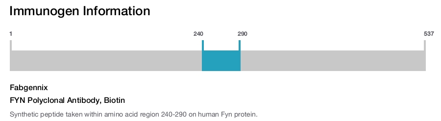 FYN Polyclonal Antibody, Biotin
