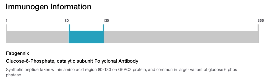 Glucose-6-Phosphate, catalytic subunit Polyclonal Antibody