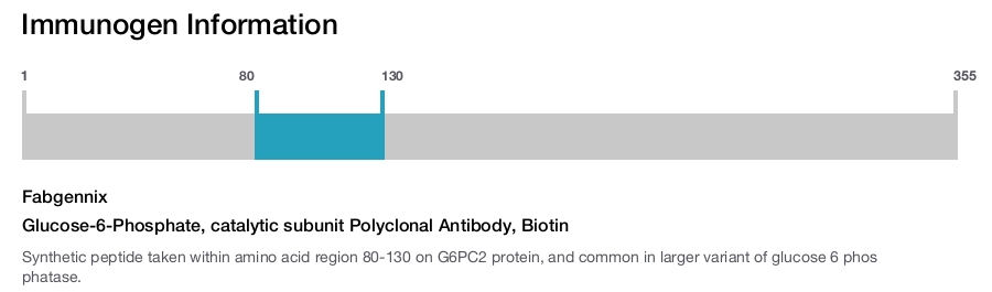 Glucose-6-Phosphate, catalytic subunit Polyclonal Antibody, Biotin