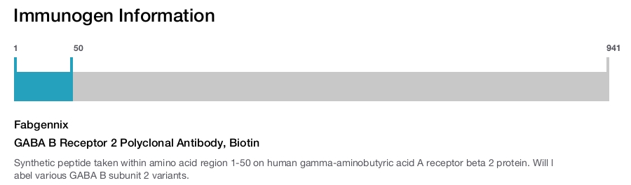 GABA B Receptor 2 Polyclonal Antibody, Biotin
