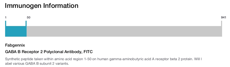 GABA B Receptor 2 Polyclonal Antibody, FITC