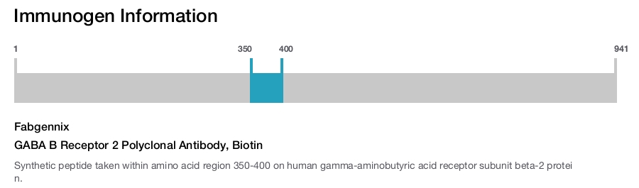 GABA B Receptor 2 Polyclonal Antibody, Biotin