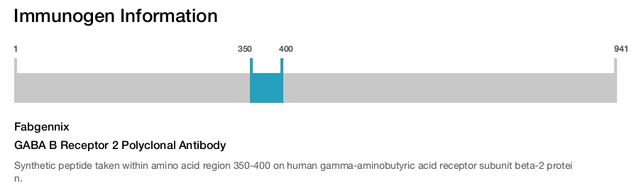 GABA B Receptor 2 Polyclonal Antibody