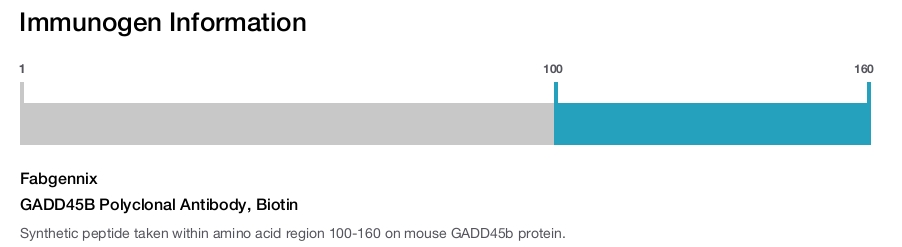 GADD45B Polyclonal Antibody, Biotin