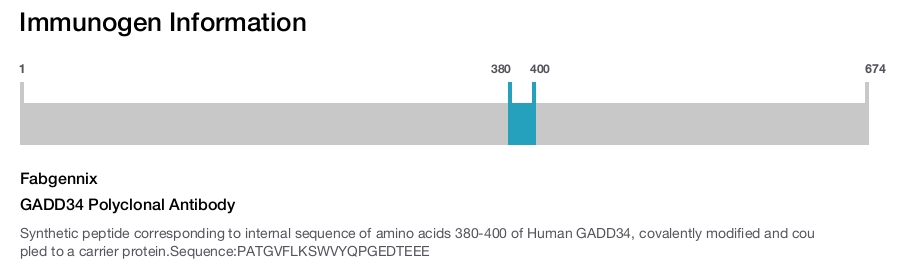 GADD34 Polyclonal Antibody