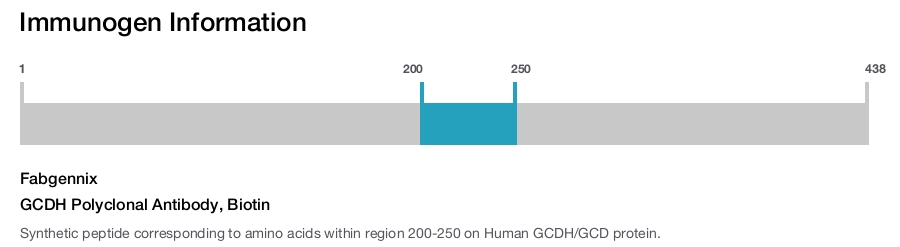 GCDH Polyclonal Antibody, Biotin