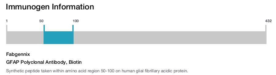 GFAP Polyclonal Antibody, Biotin