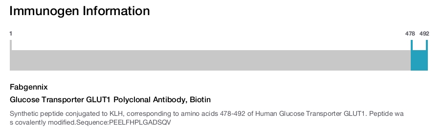 Glucose Transporter GLUT1 Polyclonal Antibody, Biotin
