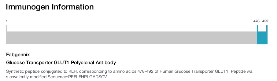 Glucose Transporter GLUT1 Polyclonal Antibody