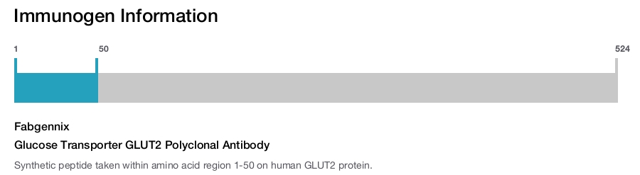 Glucose Transporter GLUT2 Polyclonal Antibody