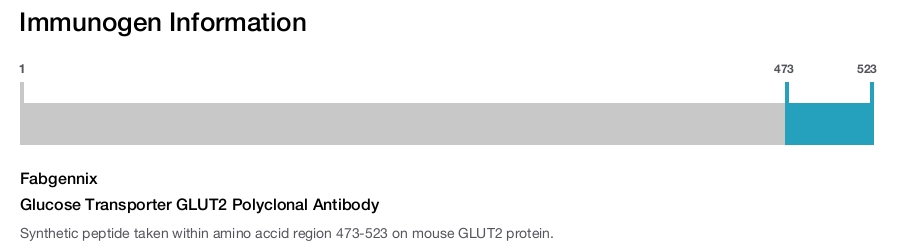 Glucose Transporter GLUT2 Polyclonal Antibody