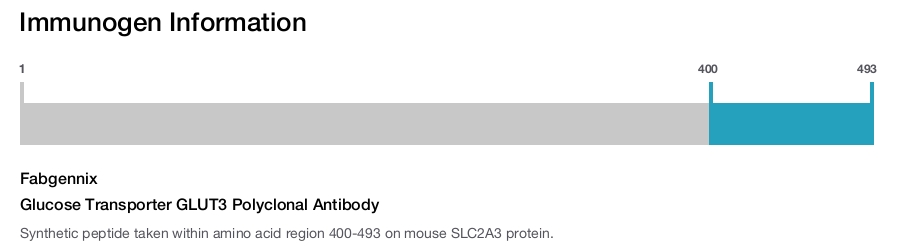 Glucose Transporter GLUT3 Polyclonal Antibody