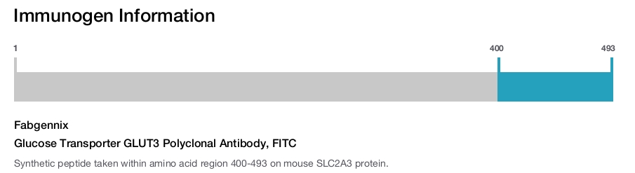 Glucose Transporter GLUT3 Polyclonal Antibody, FITC