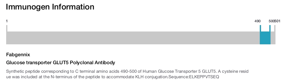 Glucose transporter GLUT5 Polyclonal Antibody