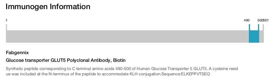 Glucose transporter GLUT5 Polyclonal Antibody, Biotin
