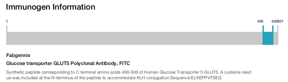 Glucose transporter GLUT5 Polyclonal Antibody, FITC