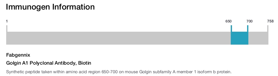Golgin A1 Polyclonal Antibody, Biotin