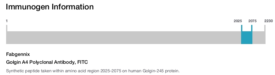 Golgin A4 Polyclonal Antibody, FITC