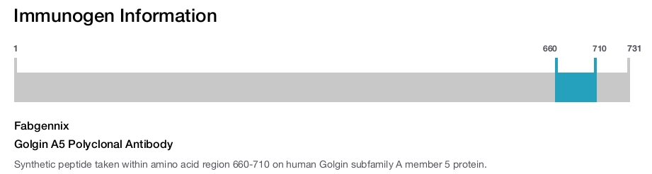 Golgin A5 Polyclonal Antibody
