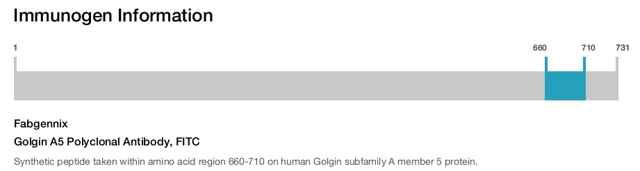 Golgin A5 Polyclonal Antibody, FITC