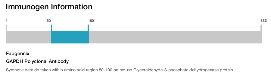 GAPDH Polyclonal Antibody