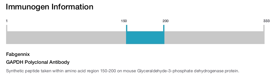 GAPDH Polyclonal Antibody