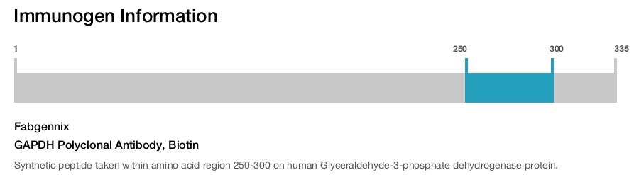 GAPDH Polyclonal Antibody, Biotin