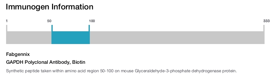 GAPDH Polyclonal Antibody, Biotin