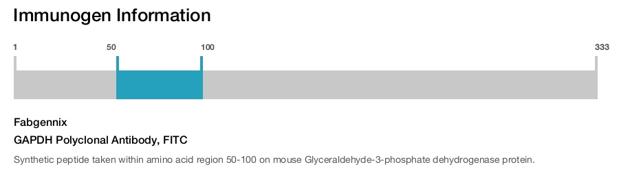 GAPDH Polyclonal Antibody, FITC