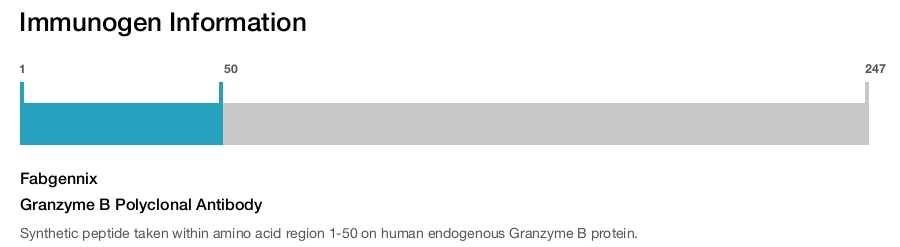 Granzyme B Polyclonal Antibody