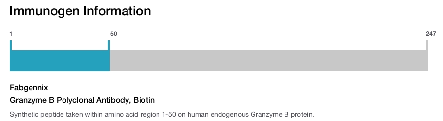 Granzyme B Polyclonal Antibody, Biotin