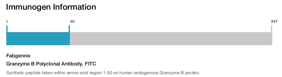 Granzyme B Polyclonal Antibody, FITC
