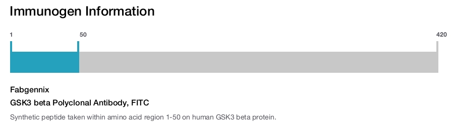 GSK3 beta Polyclonal Antibody, FITC