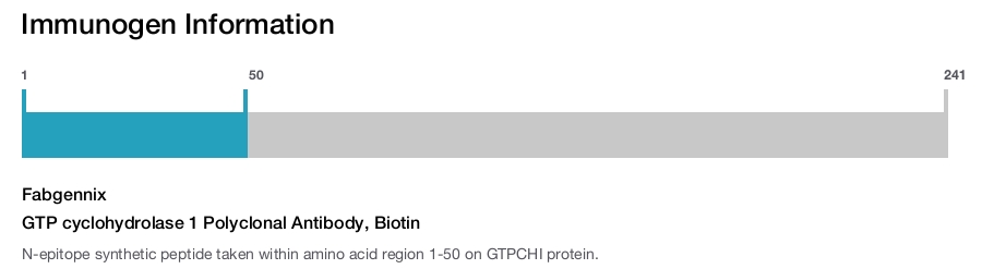 GTP cyclohydrolase 1 Polyclonal Antibody, Biotin