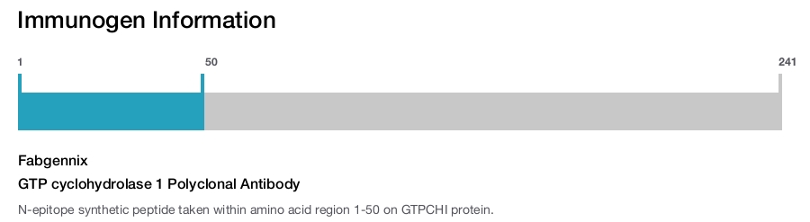 GTP cyclohydrolase 1 Polyclonal Antibody