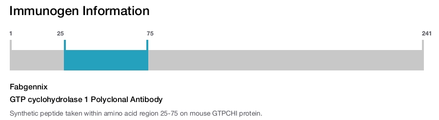 GTP cyclohydrolase 1 Polyclonal Antibody