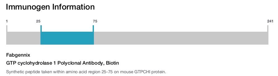 GTP cyclohydrolase 1 Polyclonal Antibody, Biotin