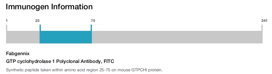 GTP cyclohydrolase 1 Polyclonal Antibody, FITC