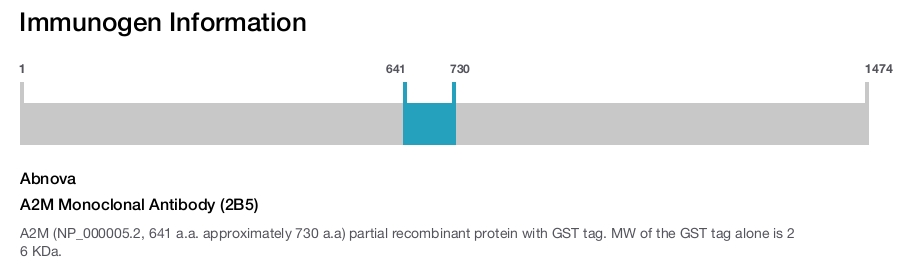 A2M Monoclonal Antibody (2B5)