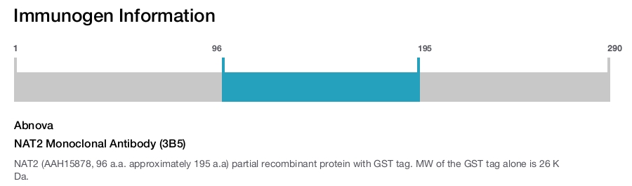 NAT2 Monoclonal Antibody (3B5)
