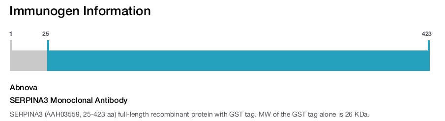 SERPINA3 Monoclonal Antibody